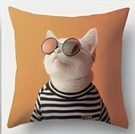 Kussenhoes Poes met Zonnebril