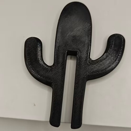 Douchewandhaak Cactus